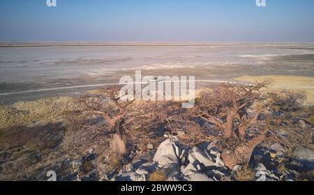 Botswana, Luftaufnahme von Baobab Bäumen und 4x4 Auto überqueren Kubu Insel in Makgadikgadi Pan Stockfoto