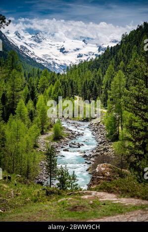 Wildbach im naturbelassenen Val Roseg, Engadin Stockfoto