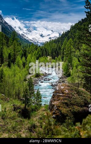 Wildbach im naturbelassenen Val Roseg, Engadin Stockfoto