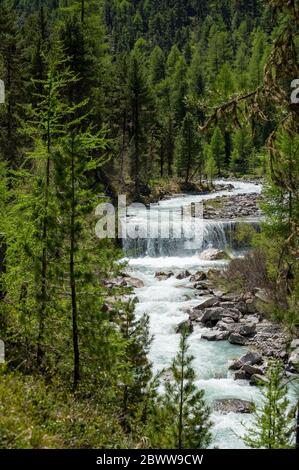 Wildbach im naturbelassenen Val Roseg, Engadin Stockfoto