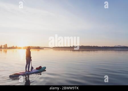 Frau, die morgens auf einem See auf dem Brett steht, Deutschland Stockfoto