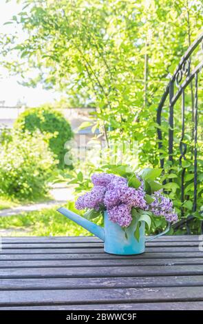 Schönes Bouquet von Flieder im Garten Bewässerung auf Holzbrücke Stockfoto