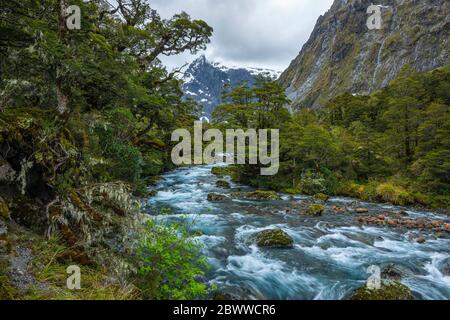 Neuseeland, Southland, Te Anau, Langzeitbelichtung des Hollyford River Stockfoto