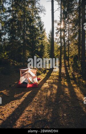 Zelt im Wald, mit einer Person, die im Schlafsack schläft Stockfoto