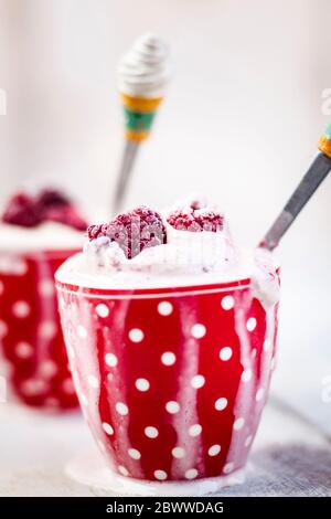 Tasse hausgemachtes Eis mit Himbeeren Stockfoto