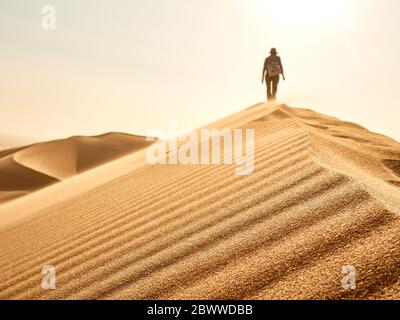 Frau auf dem Kamm einer Düne in der Wüste, Walvisbucht, Namibia Stockfoto