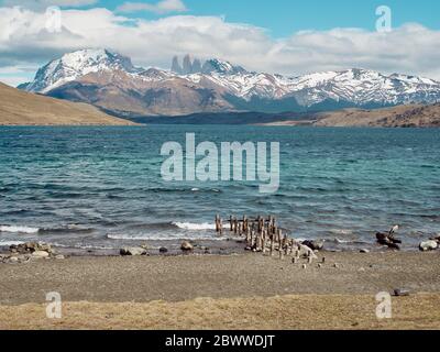 Landschaftlich reizvolle Aussicht auf die Torres del Paine Berge von der Laguna Azul Laguna Azul, Torres del Paine Nationalpark, Chile Stockfoto