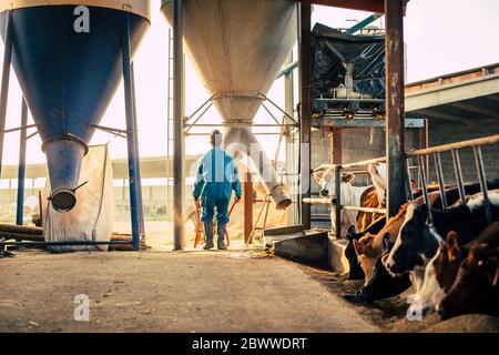 Junger Bauer trägt blauen Gesamtlader aus einem Silo in Schubkarre Stockfoto