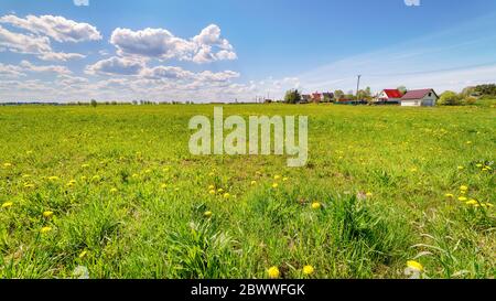 Weitwinkel-Panoramablick auf Grünfeld und kleines Dorf. Ländliche Landschaft Stockfoto
