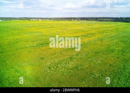 Ländliche Panoramalandschaft in Russland. Grünes Feld und Dorf am Horizont. Luftaufnahme Stockfoto