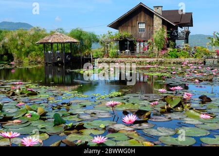 Holzhaus und Teich mit rosa Seerosen in der Nähe von Tondano, Nord Sulawesi, Indonesien Stockfoto