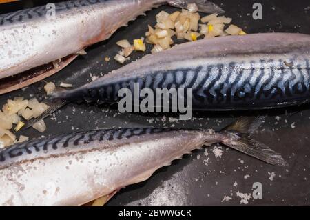Drei Makrelenfische mit Zwiebelscheiben vor dem Ofen auf schwarzem Hintergrund Stockfoto