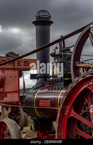 Dampfzugmaschine, die eine Ransomes Dreschmaschine antreibt, aus nächster Nähe Stockfoto