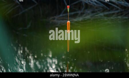 Ein Mann in der Natur der Fischerei ruht, wirft den Köder in den Fluss, dreht die Spule und heben Sie den Köder an die Spitze. Konzept: Angeln, Urlaub Stockfoto