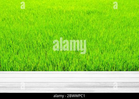 Weißer Holztisch mit grünem Reisfeld Hintergrund, geeignet für Produktdisplay. Stockfoto