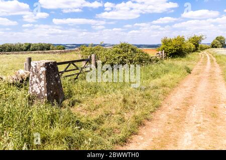 Ein Ausfahrtspunkt auf Ryknild Street oder Icknield Street (lokal Condicote Lane) eine römische Straße nur S vom Cotswold Dorf Condicote, Gloucestershire. Stockfoto