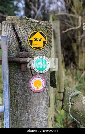 Wegmarkierungspfeile für den South Cheshire Way, Whitchurch Walks und das Whitchurch Wheel auf einem Holzpfosten, Cheshire, England, Großbritannien Stockfoto