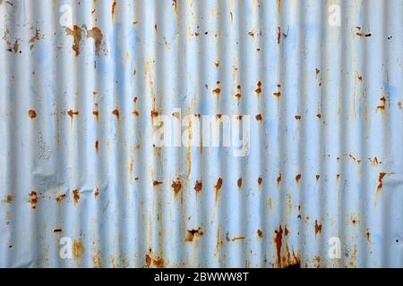 Rostig auf blauer Farbe auf Zinkwandhintergrund. Stockfoto