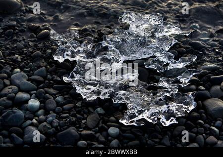 Ein Scherz aus klarem Eis von einem Eisberg liegt auf den schwarzen vulkanischen Kieselsteinen am Diamond Beach, Jokulsarlon Glacial Lagoon Vatnajokull National Park Island Stockfoto