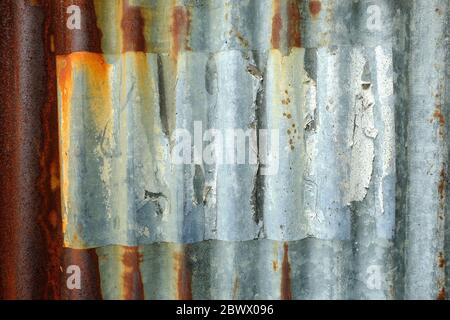Altes Peeling Poster auf Grunge Zinc Wand Textur Hintergrund. Stockfoto