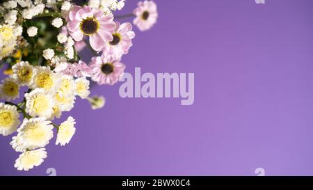 Bouquet von zarten kleinen Blüten auf lila Hintergrund. Frühlingskonzept. Chrysantheme Blumen und Kopie Raum Stockfoto