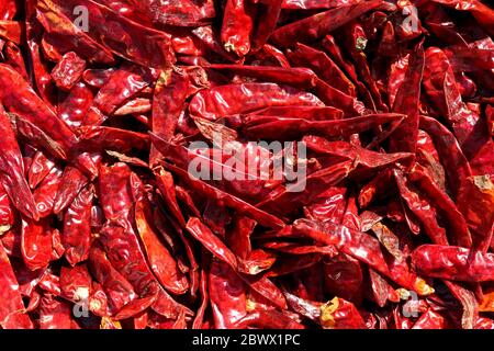 Haufen getrockneter roter Chilischoten oder Chili Cayennepfeffer. Stockfoto