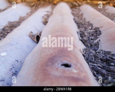 Wellblech und rostig Blech mit Schmutz Stockfoto