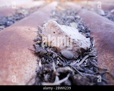 Wellblech und rostig Blech mit Schmutz Stockfoto