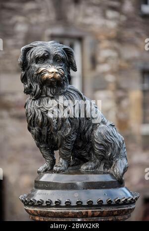 Greyfriars Bobby Statue in Edinburgh, Schottland. Stockfoto