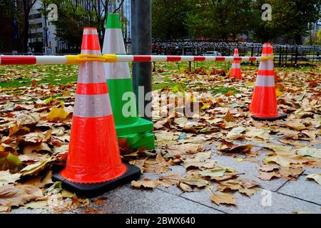 Verkehr Kegelschnäppen mit fallenden Ahornblättern auf dem Boden im Park. Stockfoto
