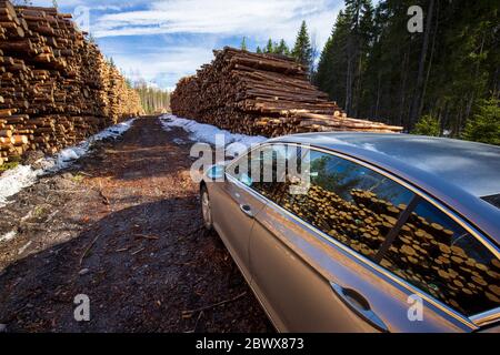 Holzpfähle, die von den Seitenfenstern des Volkswagen Passat reflektiert werden, und mehrere geerntete Holzpfähle entlang einer Waldroadt im Frühling, Finnland Stockfoto