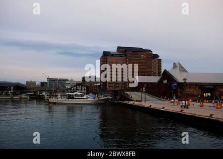 HAKODATE, JAPAN - 13. NOVEMBER 2019: Landschaft der Hakodate Bucht im Winter. Hakodate ist eine berühmte Touristenattraktion in Hokkaido, Japan. Stockfoto