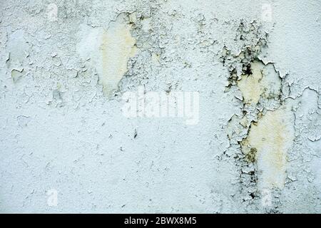 Schimmel, Pilz und weiße Peeling Malerei auf alten Beton Wand Hintergrund, geeignet für Präsentation und Hintergrund. Stockfoto