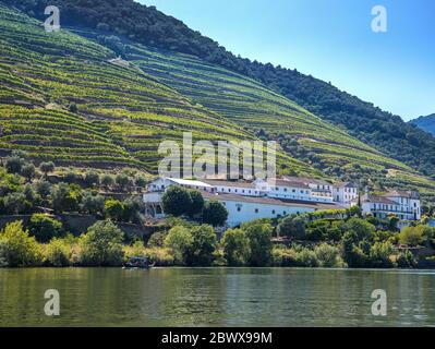 Quinta das Carvalhas am Ufer des Douro Flusses, inmitten der terrassenförmig angelegten Hügel mit Weinreben mit Flussfahrt Boot vorbei Pinhão Nord Portugal Stockfoto