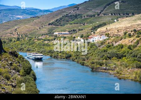 Flusskreuzfahrtschiff im Tal, umgeben von terrassenförmigen Weinbergen entlang des Douro Flusses Portugal