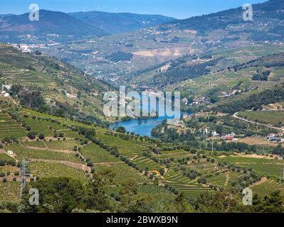 Douro Fluss im Tal, umgeben von terrassenförmig angelegten Weinbergen entlang der Douro Region im Norden Portugals Stockfoto