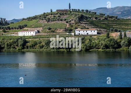 Die Weinberge des Douro Valley und der ironische Sandeman trugen den Namen Don, der auf einem Hügel mit Blick auf den Fluss in einem portugiesischen Studentenumhang gekleidet war Stockfoto