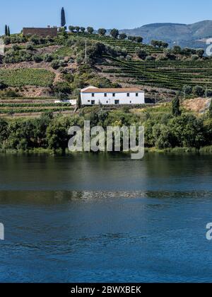 Die Weinberge des Douro Valley und der ironische Sandeman trugen den Namen Don, der auf einem Hügel mit Blick auf den Fluss in einem portugiesischen Studentenumhang gekleidet war Stockfoto