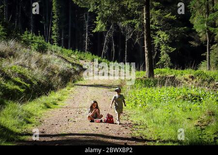 Kinder erkunden Wald in Großbritannien Stockfoto