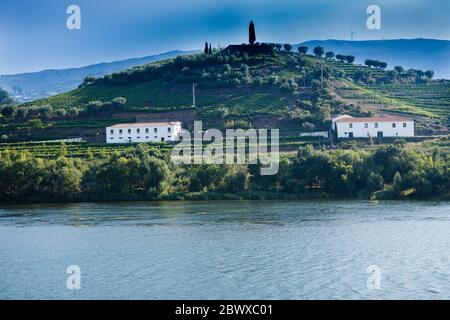 Die Weinberge des Douro Valley und der ironisch gekleidete Mann namens Don, der auf einem Hügel auf einem portugiesischen Studentencape mit Blick auf den Fluss von Régua Portugal gekleidet ist Stockfoto