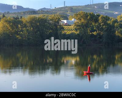 Die Weinberge und Gebäude im Douro-Tal überblicken den Fluss von Régua Nord Portugal Stockfoto