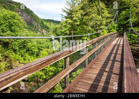 Hängebrücke über Tallulah Gorge im Tallulah Gorge State Park, neben Tallulah Falls, Georgia, zwischen Rabun und Habersham County. (USA) Stockfoto