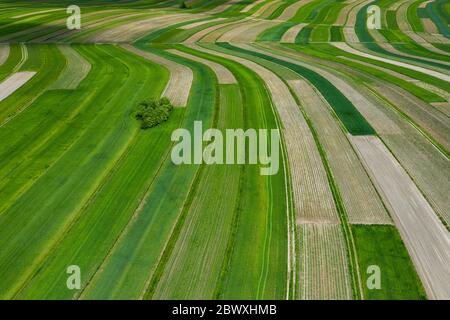 Polen von oben. Luftaufnahme von grünen landwirtschaftlichen Feldern und Dorf. Landschaft mit Feldern von Polen. Typische polnische Landschaft. Stockfoto