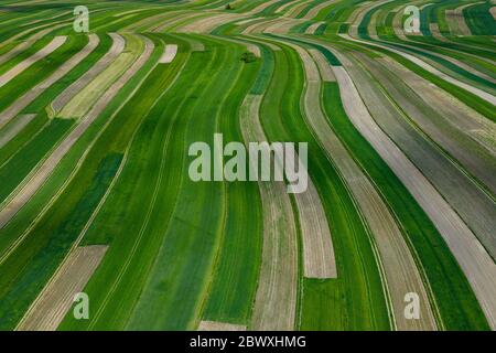 Polen von oben. Luftaufnahme von grünen landwirtschaftlichen Feldern und Dorf. Landschaft mit Feldern von Polen. Typische polnische Landschaft. Stockfoto