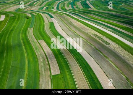 Polen von oben. Luftaufnahme von grünen landwirtschaftlichen Feldern und Dorf. Landschaft mit Feldern von Polen. Typische polnische Landschaft. Stockfoto