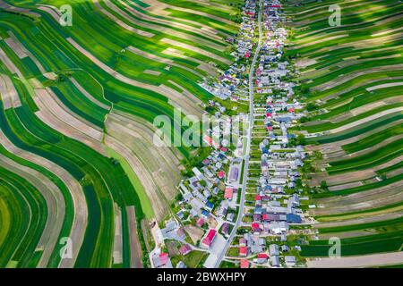 Polen von oben. Luftaufnahme von grünen landwirtschaftlichen Feldern und Dorf. Landschaft mit Feldern von Polen. Typische polnische Landschaft. Stockfoto