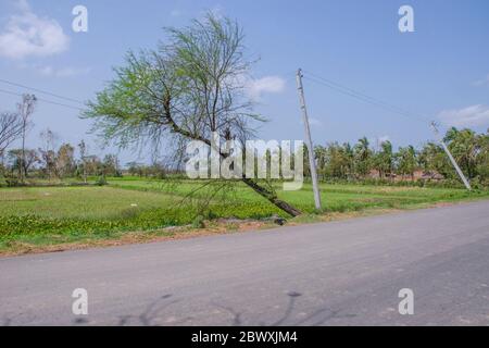 Nach Wirkungen von Superzyklon Amphan im Süden 24 Pargana West bengalen Stockfoto