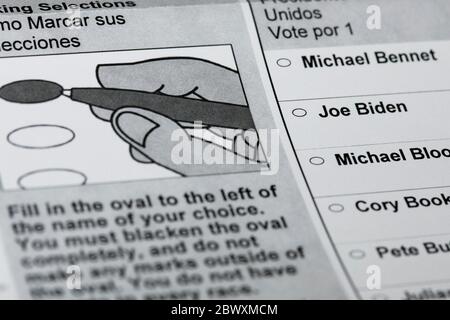 Ein arrangierte Foto eines Maryland Absentee Mail-in Stimmzettel für die 2020 Democratic Presidential Primary Election. Stockfoto