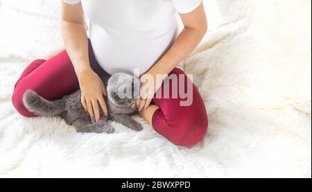 Eine schwangere Frau mit einer Katze liegt im Bett. Selektiver Fokus. Tier. Stockfoto