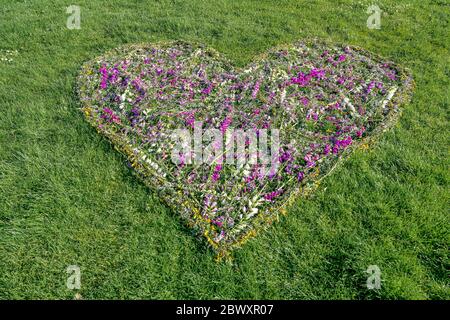 Herzform aus Wildblumen von Adel Berenjian, Ambleside Park, West Vancouver, British Columbia, Kanada Stockfoto